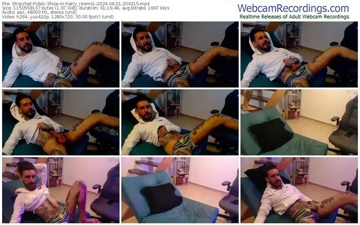 stripchat-harry_reems1-08-01-2024-20-43-15