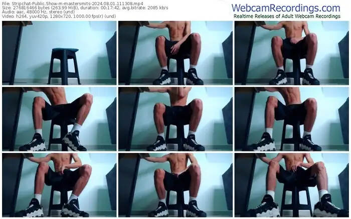 stripchat-mastersmits-08-01-2024-11-13-08