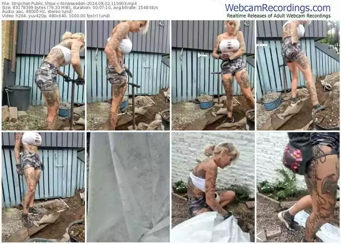 stripchat-ninasweden-08-02-2024-11-59-03