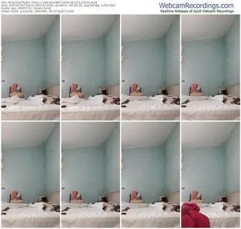 stripchat-pamelita982-08-02-2024-11-20-55