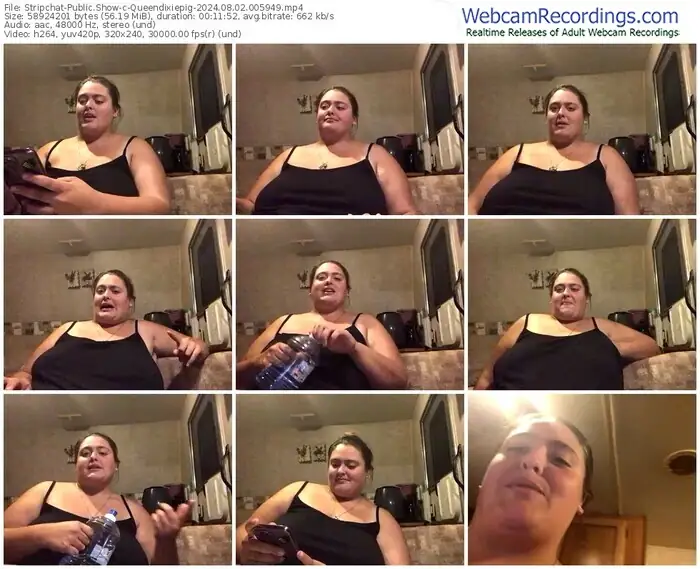 stripchat-queendixiepig-08-02-2024-00-59-49