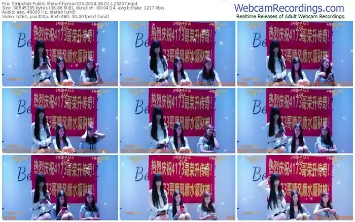 stripchat-hymsv333-08-02-2024-12-32-57