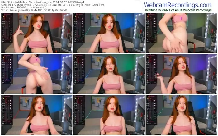 stripchat-willow_fox-08-02-2024-20-24-56