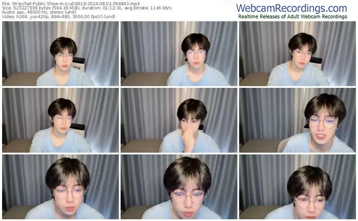 stripchat-liudd918-08-02-2024-09-48-43