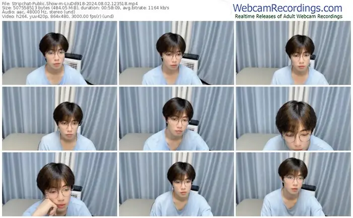 stripchat-liudd918-08-02-2024-12-35-18