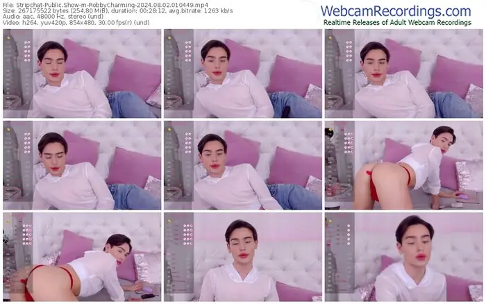 stripchat-robbycharming-08-02-2024-01-04-49