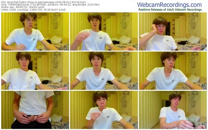 stripchat-gaygamogey-08-02-2024-13-01-34