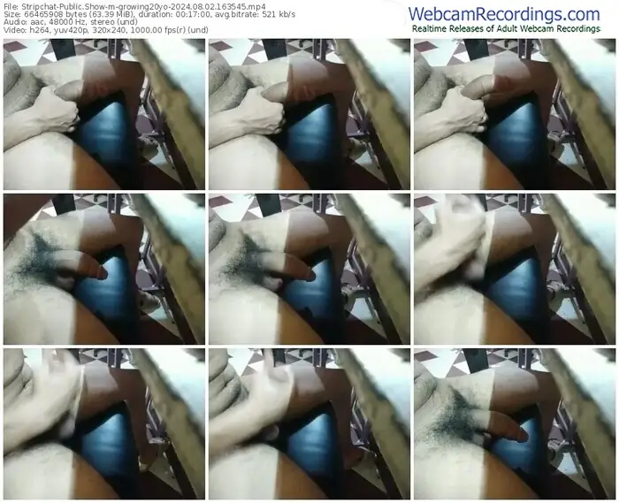 stripchat-growing20yo-08-02-2024-16-35-45