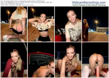 stripchat-hopeheaven-08-03-2024-19-59-27