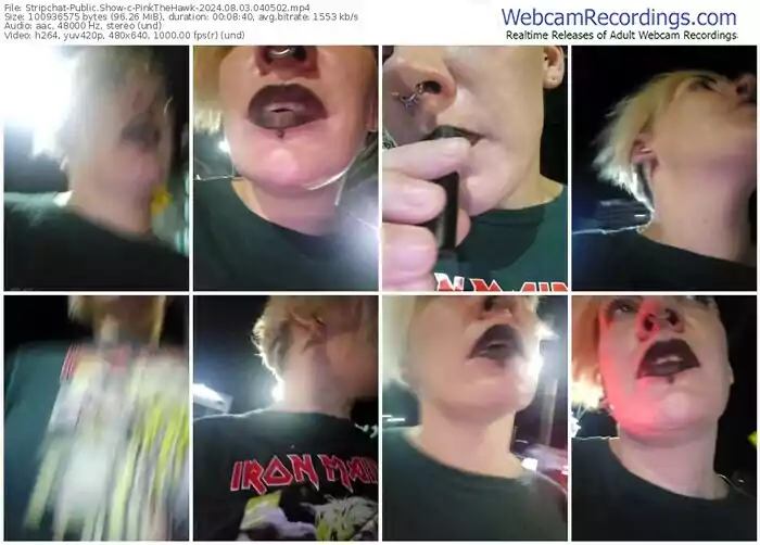 stripchat-pinkthehawk-08-03-2024-04-05-02