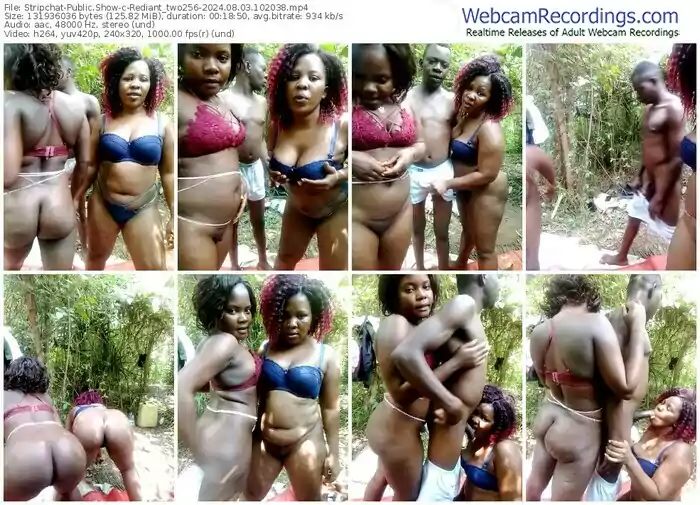 stripchat-rediant_two256-08-03-2024-10-20-38