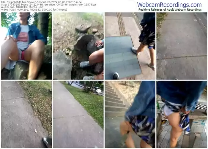 stripchat-sandribest-08-03-2024-23-05-10