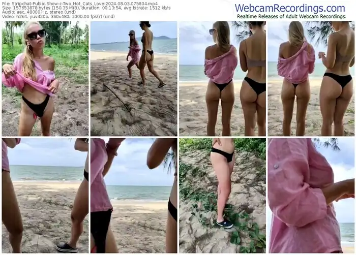 stripchat-two_hot_cats_love-08-03-2024-07-58-04