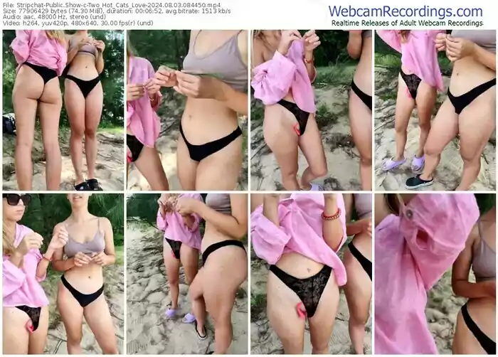 stripchat-two_hot_cats_love-08-03-2024-08-44-50