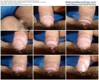 stripchat-lolamike19-08-03-2024-01-50-40