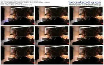 stripchat-violet_noah-08-03-2024-00-50-12