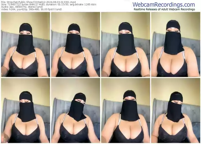 stripchat-dina012-08-03-2024-01-33-31