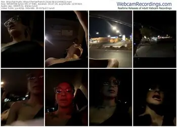 stripchat-ferrarifrench-08-03-2024-06-08-22