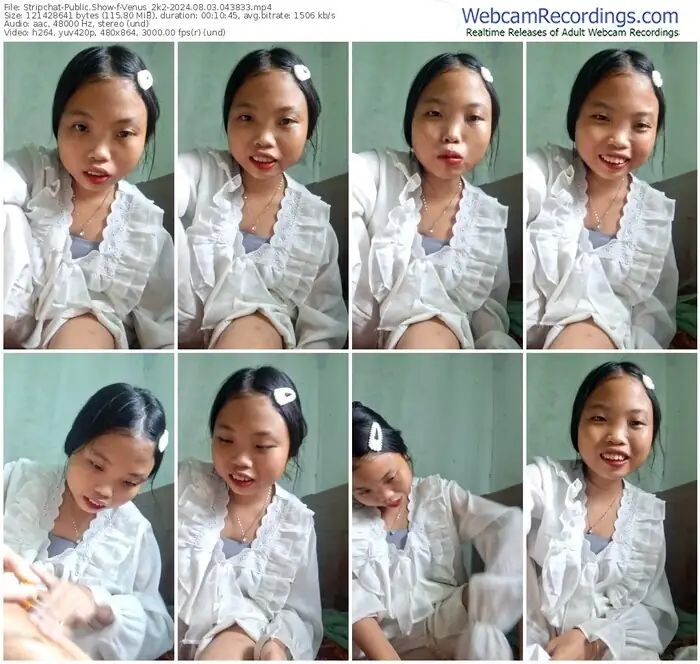 stripchat-venus_2k2-08-03-2024-04-38-33