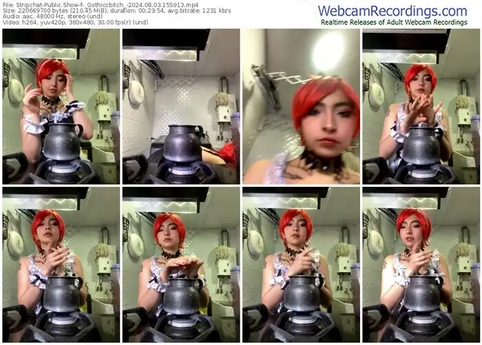 stripchat-_gothiccbitch_-08-03-2024-15-59-13