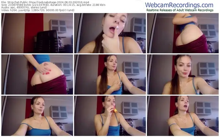 stripchat-ladysabotage-08-03-2024-09-20-16