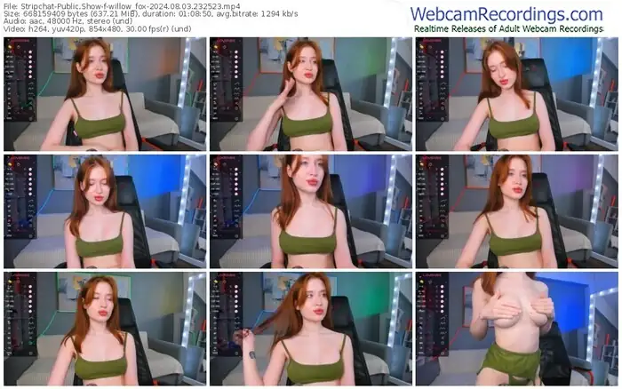 stripchat-willow_fox-08-03-2024-23-25-23