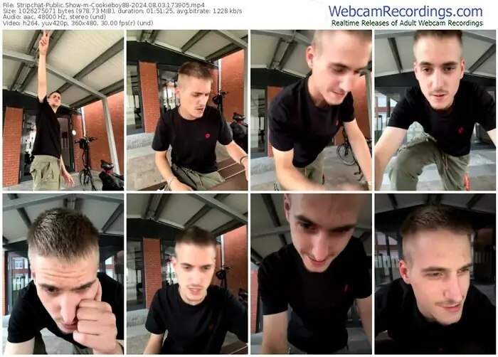 stripchat-cookieboy88-08-03-2024-17-39-05