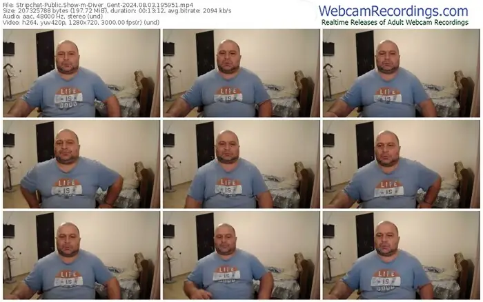 stripchat-diver_gent-08-03-2024-19-59-51