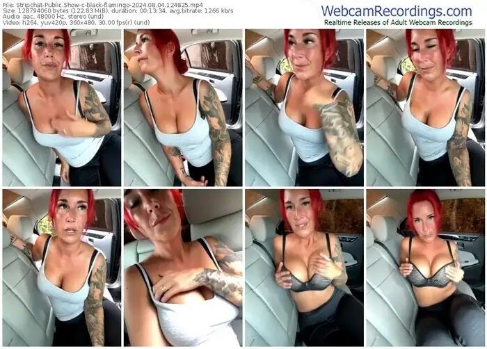 stripchat-black-flamingo-08-04-2024-12-48-25