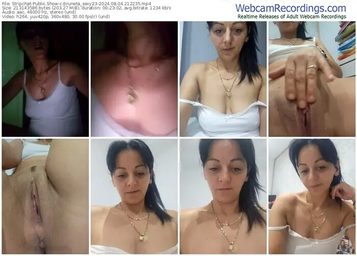 stripchat-bruneta_sexy23-08-04-2024-21-22-35