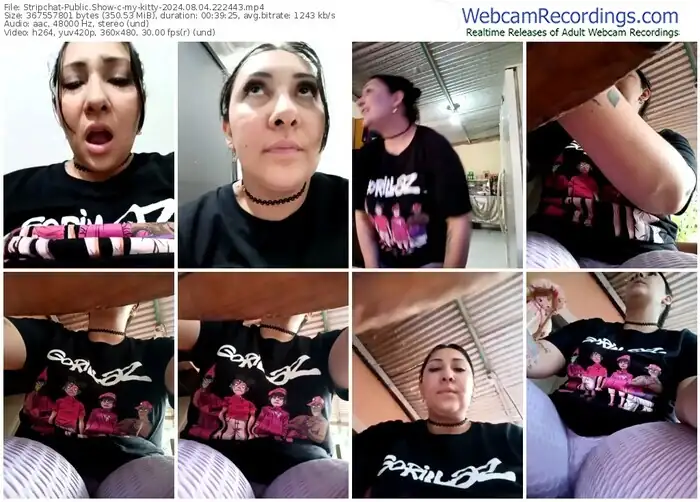 stripchat-my-kitty-08-04-2024-22-24-43