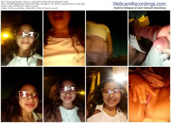 stripchat-sofy2004-08-04-2024-00-44-47