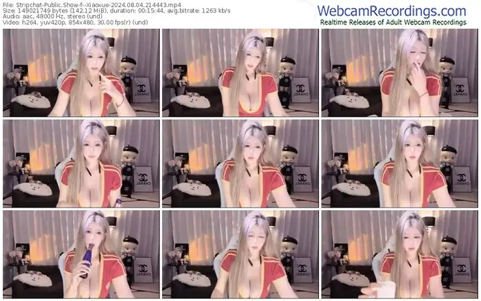 stripchat--xiaoxue-08-04-2024-21-44-43