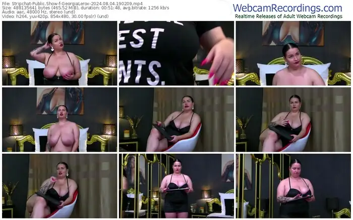 stripchat-georgialerox-08-04-2024-19-02-09
