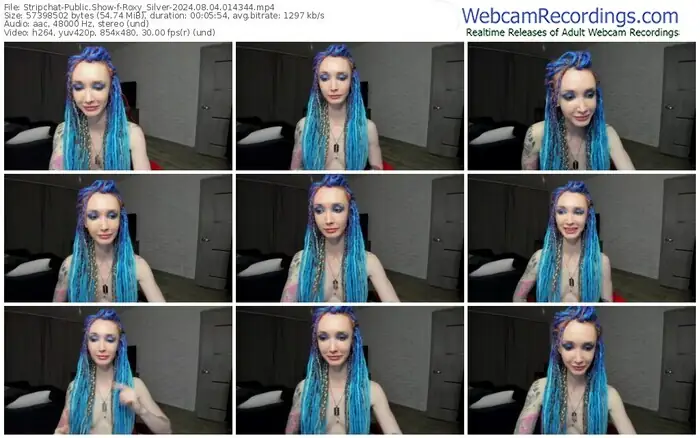 stripchat-roxy_silver-08-04-2024-01-43-44