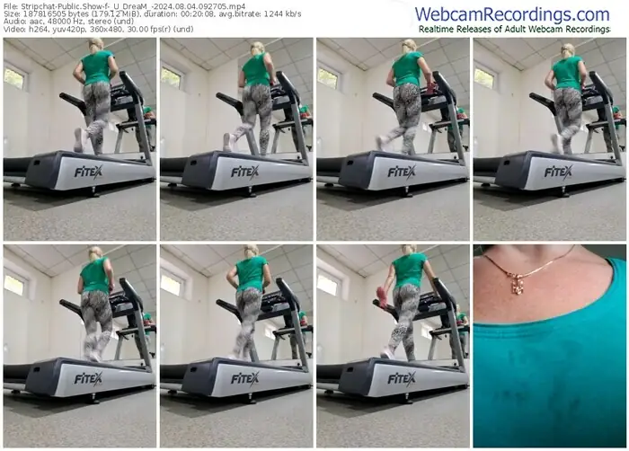 stripchat-_u_dream_-08-04-2024-09-27-05