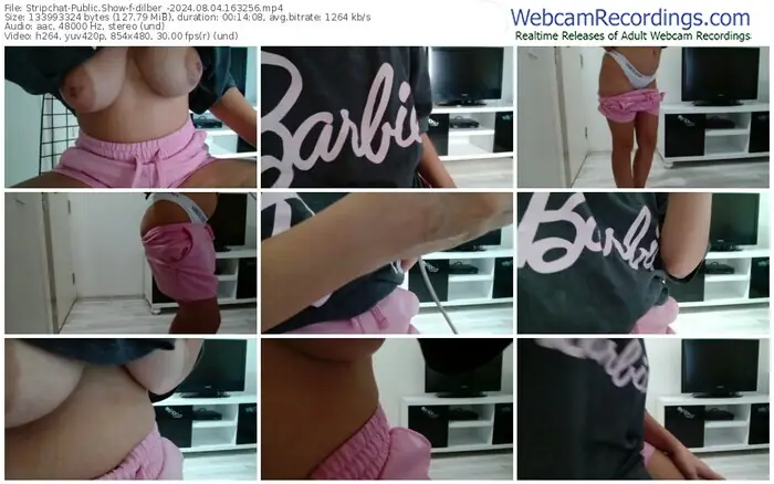 stripchat-dilber_-08-04-2024-16-32-56