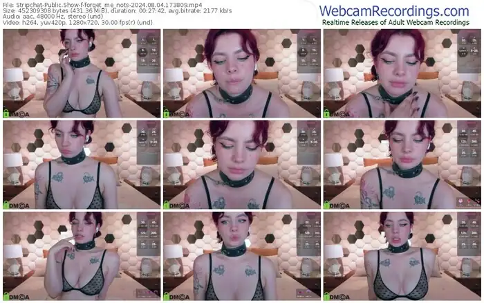 stripchat-forget_me_nots-08-04-2024-17-38-09