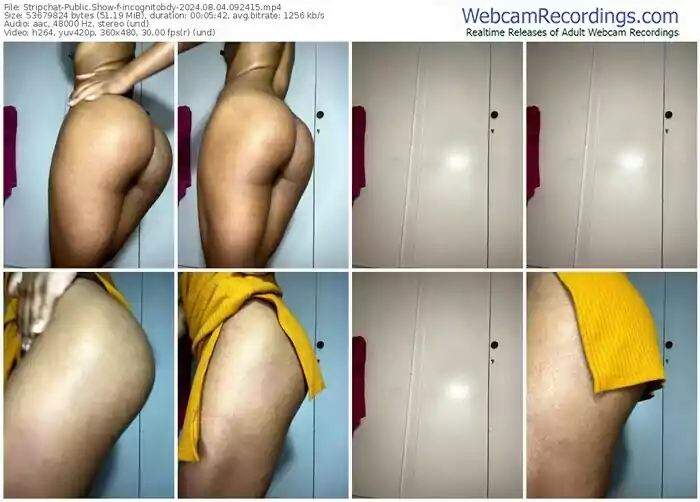 stripchat-incognitobdy-08-04-2024-09-24-15