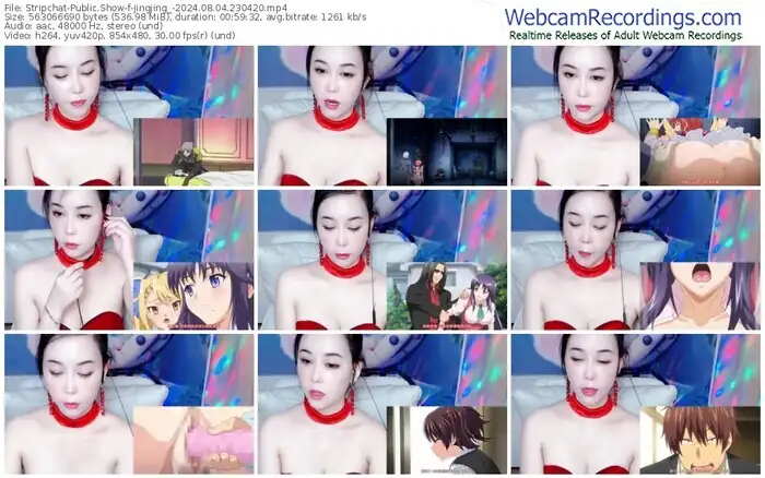 stripchat-jingjing_-08-04-2024-23-04-20