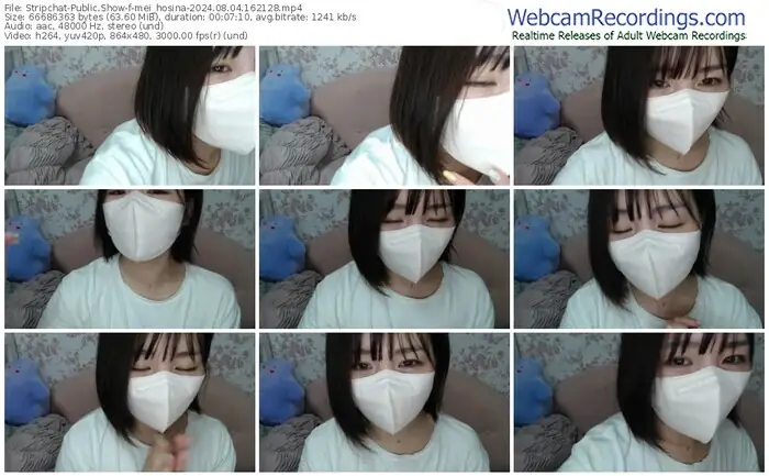 stripchat-mei_hosina-08-04-2024-16-21-28