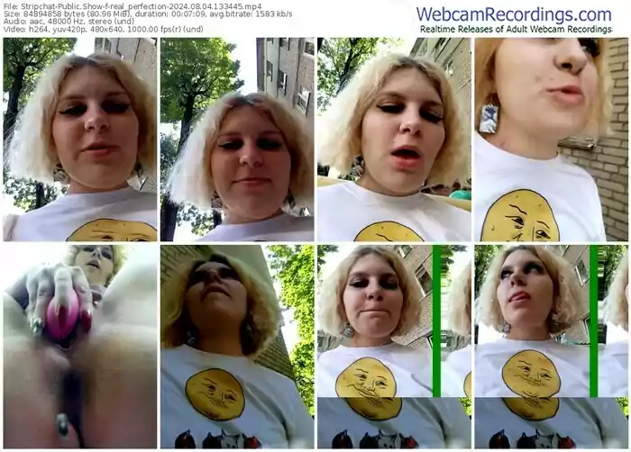 stripchat-real_perfection-08-04-2024-13-34-45