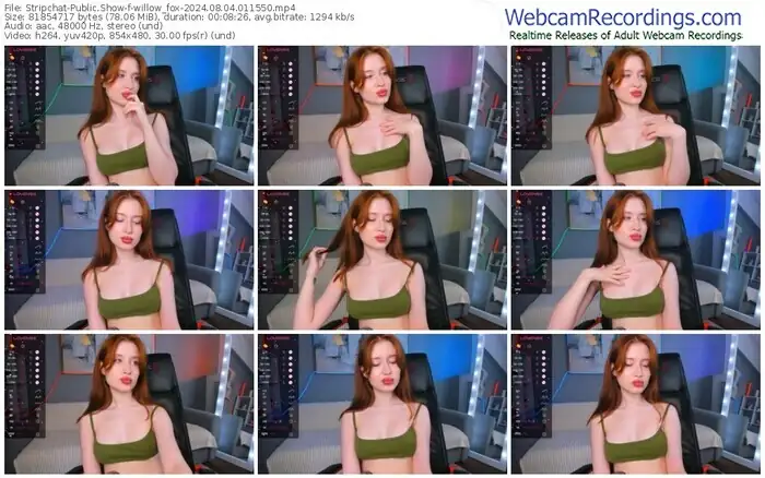 stripchat-willow_fox-08-04-2024-01-15-50