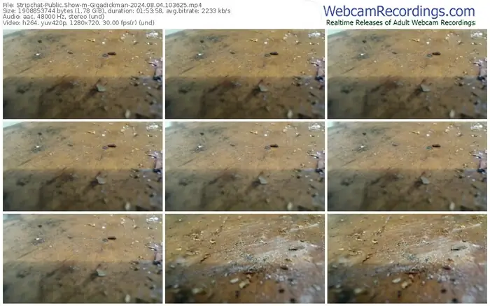 stripchat-gigadickman-08-04-2024-10-36-25