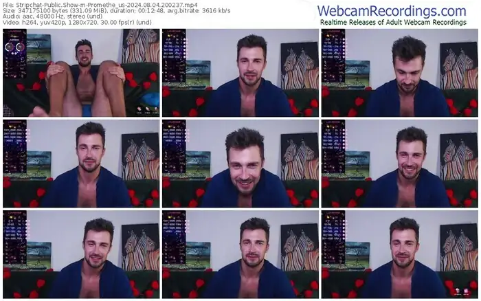 stripchat-promethe_us-08-04-2024-20-02-37