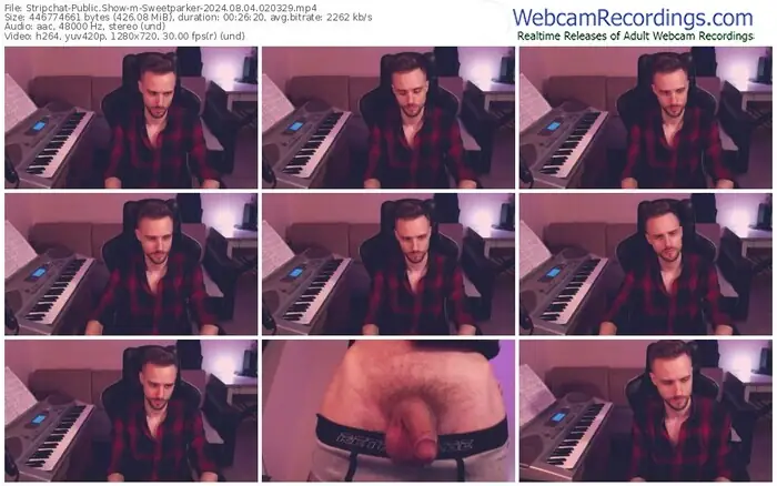 stripchat-sweetparker-08-04-2024-02-03-29