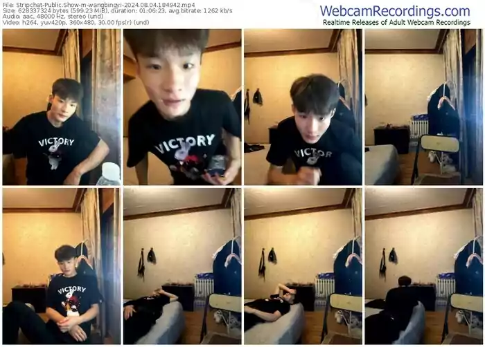 stripchat-wangbingyi-08-04-2024-18-49-42