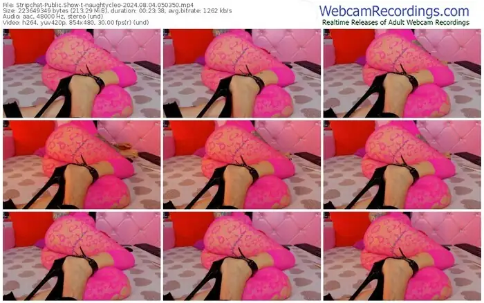 stripchat-naughtycleo-08-04-2024-05-03-50