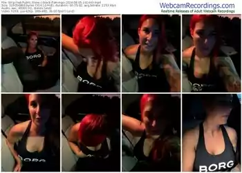 stripchat-black-flamingo-08-05-2024-19-14-43