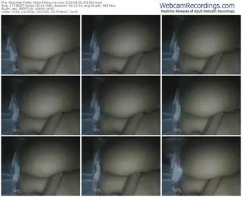 stripchat-nina-chicano-08-05-2024-00-14-20